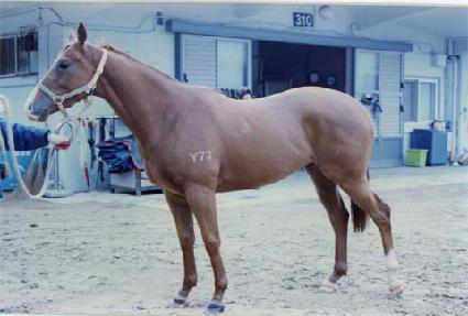 �����̽� ����