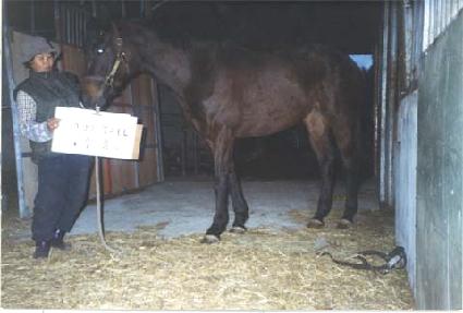 ���� ����