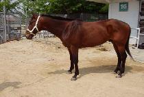 ���Ͻ� (BERNIE C) ����