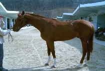 ��ε������ (BROADWAY JET) ����