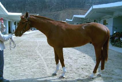 ��ε������ ����