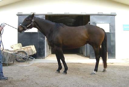 �ýø��̷��� ����