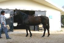 �ع�Ȩ���̹Գ��� (HAVERHOMEBYMIDNITE) ����