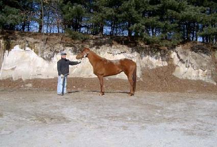 ���̺�ž ����