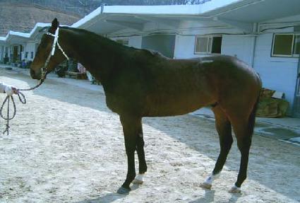 �����Ź��� ����