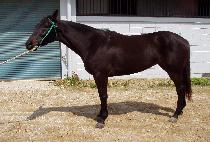 ��Ŭ���� (ALLCLASSY) ����