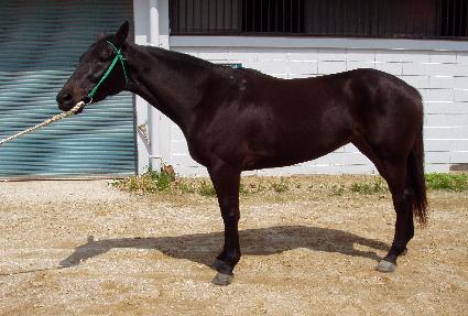 ��Ŭ���� ����