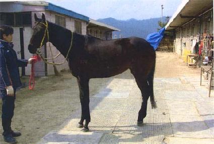 ����ź�� ����