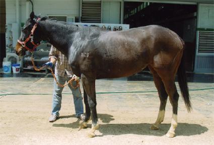 �ָ��� ����