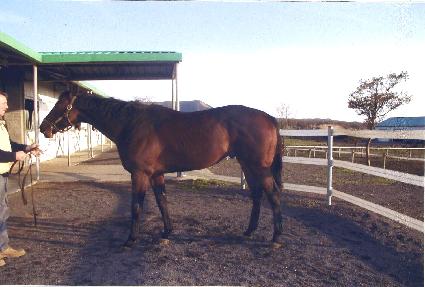 �����ν�Ʈ����Ʈ ����