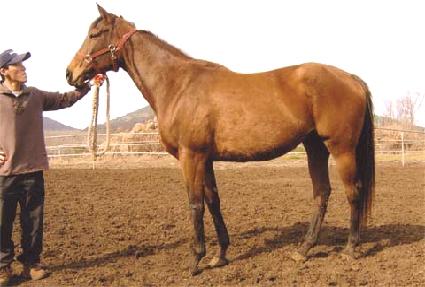 �۽�Ʈ���̿ø� ����