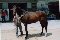 ����Ʈ����Ʈ (POST LIGHT) ����