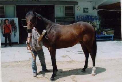 ����Ʈ����Ʈ ����