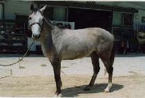 ���̵������ (MY DEAR JAY) ����