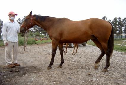 ��ī���̽����� ����