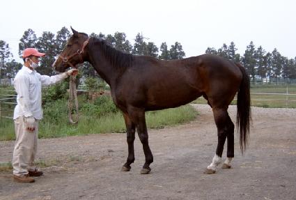 �ֹ���ġ�ͽ����� ����