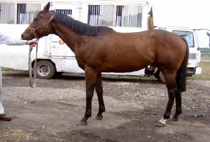 ����Ʈ���н� ����