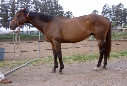 �̸����ʸ� ����