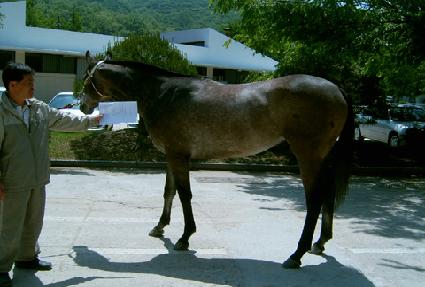 Ƽ��Ƽ�� ����