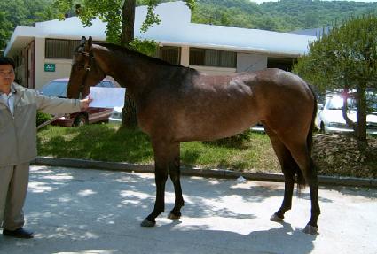 �����̵� ����