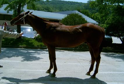 �������ϸ� ����