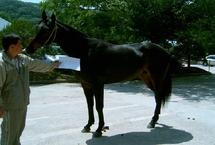 ���� ����