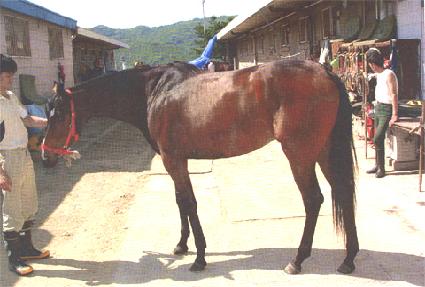 ���̽����� ����