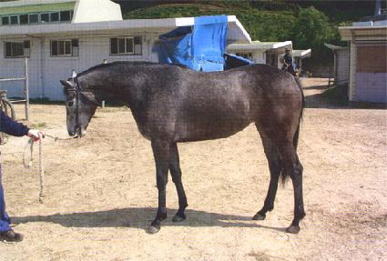 ���Ҿ�극�̽� ����