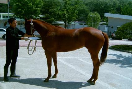 ��Ƽ���з��� ����