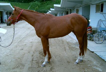 ž�������� ����