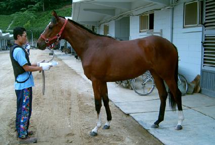 ����극�̽� ����