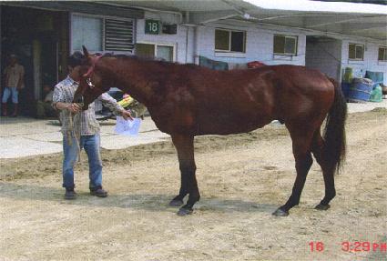 �����Ǻ� ����