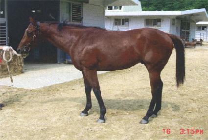 �ٱ⼼�� ����