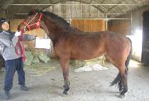 ������ (OBOKSEONG) ����