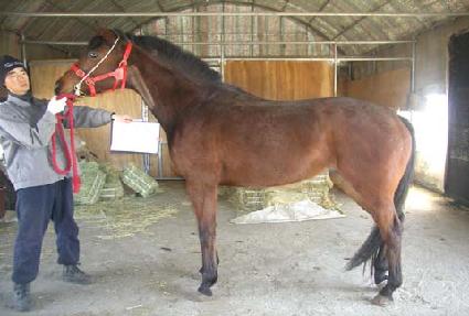 ������ ����