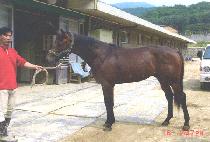 ��ŷ�������̾� (COOKING WITH FIRE) ����