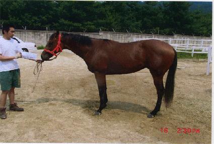 �ҵ�ŷ ����