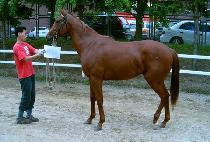 ����̹�Ŀ (STORMY BANKER) ����