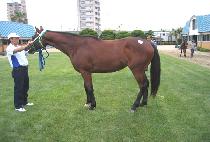 ������ (DAECHAGE) ����