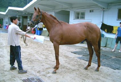 ÷�� ����