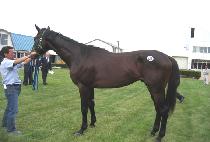 �ϴ�õ (HANEULCHEON) ����