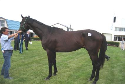 �ϴ�õ ����