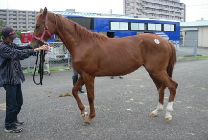 ����è�Ǿ� ����