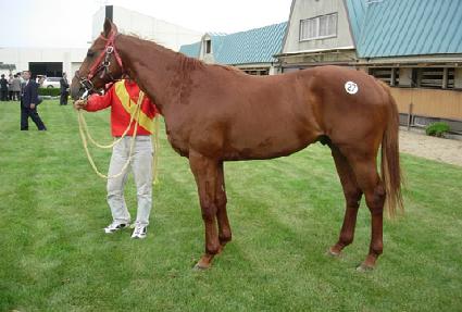 �̽�Ʈŷ ����