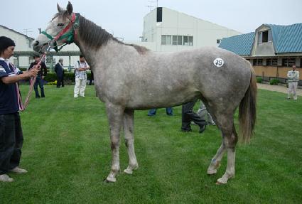 �������� ����