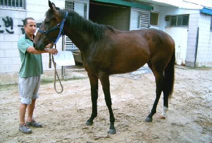 Ȳ�ʷ� ����