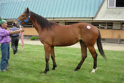 �ʷϹ��� ����