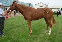 ����� (DAEUNGJU) ����