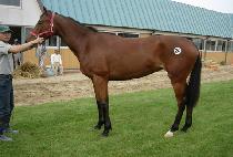 ���� (JIHAN) ����