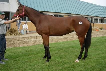 ���� ����